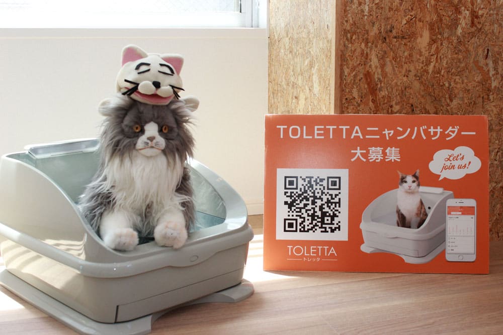 ねこと健康に過ごすIoT